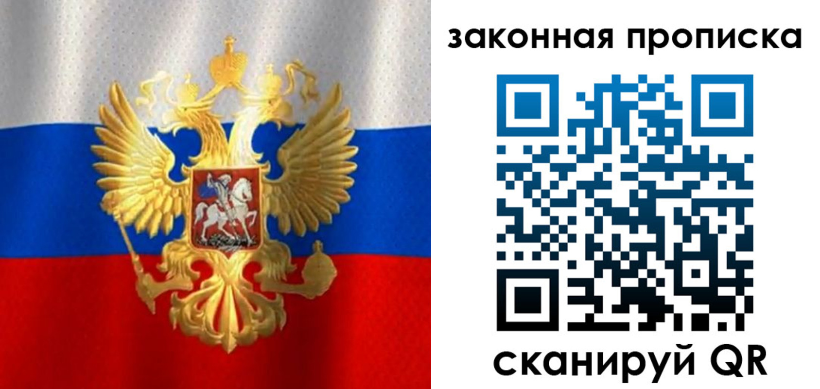 прописка 2025 в Сафоново